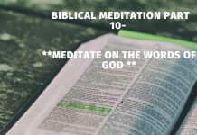 Biblical Meditation part 23: Guide your heart with all diligence