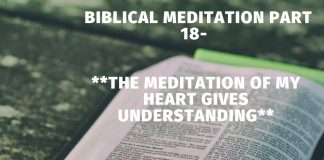 The meditation of my heart gives understanding.