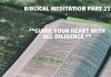 Biblical Meditation part 23: Guide your heart with all diligence