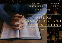 Day 9 of 31 days Prosperity in Life Challenge: Wisdom, Knowledge and Understanding