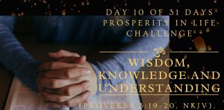 Day 9 of 31 days Prosperity in Life Challenge: Wisdom, Knowledge and Understanding