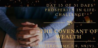 The covenant of wealth