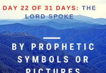 By prophetic symbols or pictures