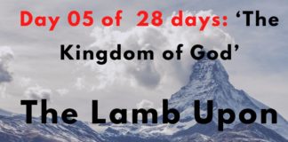 The Lamb Upon The Throne