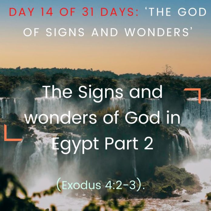 he Signs and wonders of God in Egypt Part 2