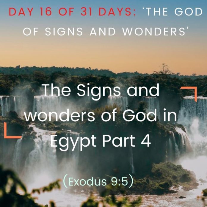 The Signs and wonders of God in Egypt Part 4