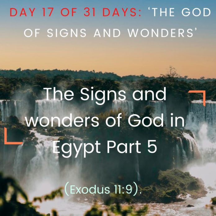 The Signs and wonders of God in Egypt Part 5