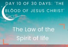 The Law of the Spirit of life