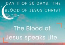 The Blood of Jesus speaks Life