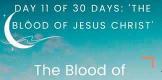 The Blood of Jesus speaks Life