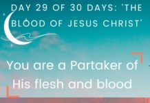 Day 29 of  30 days: ‘The Blood of Jesus Christ’–You are a Partaker of His flesh and blood