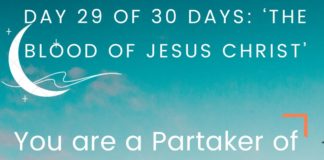 Day 29 of  30 days: ‘The Blood of Jesus Christ’–You are a Partaker of His flesh and blood