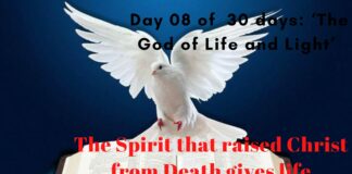 The Spirit that raised Christ from Death gives life