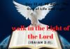 walk in the Light of the Lord