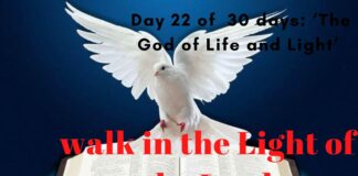 walk in the Light of the Lord