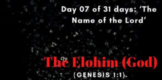 The Elohim (God)