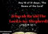 Jehovah Ra’ah(The Lord is my Shepherd)