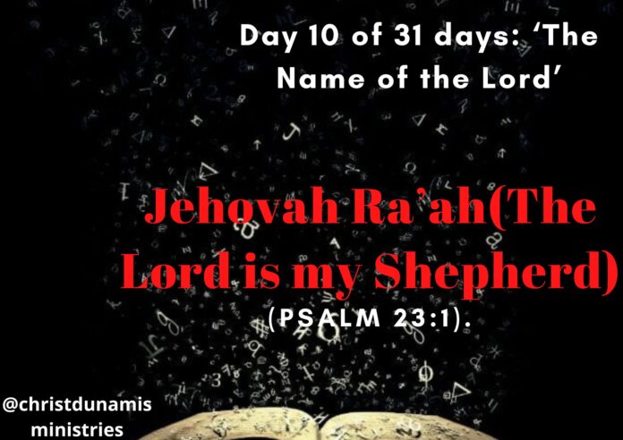 Jehovah Ra’ah(The Lord is my Shepherd)