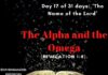 The Alpha and the Omega