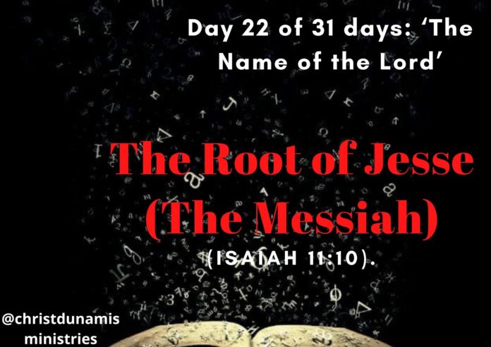 The Root of Jesse (The Messiah)