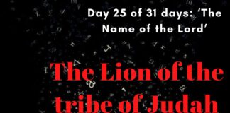 The Lion of the tribe of Judah