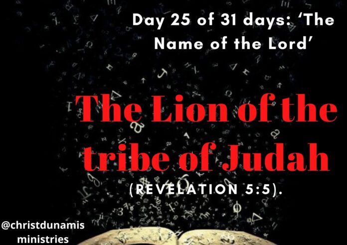 The Lion of the tribe of Judah