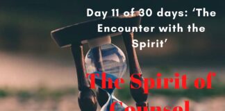 The Spirit of Counsel