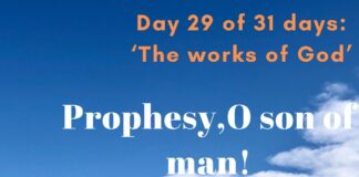 Prophesy,O son of man!