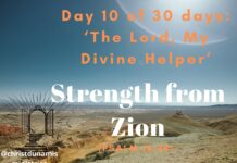 Strength from Zion