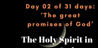 The Holy Spirit in you