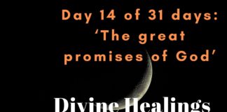 Divine Healings