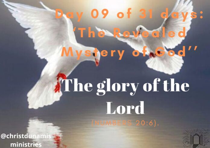 The glory of the Lord