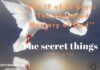 The secret things