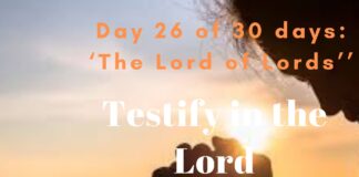 Testify in the Lord