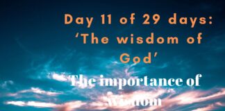 The importance of wisdom