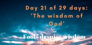 Fools despise wisdom