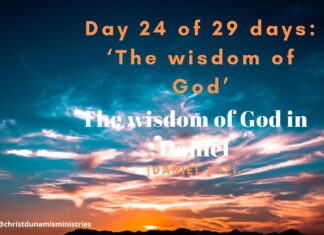 The wisdom of God in Daniel