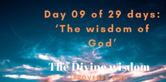 The Divine wisdom