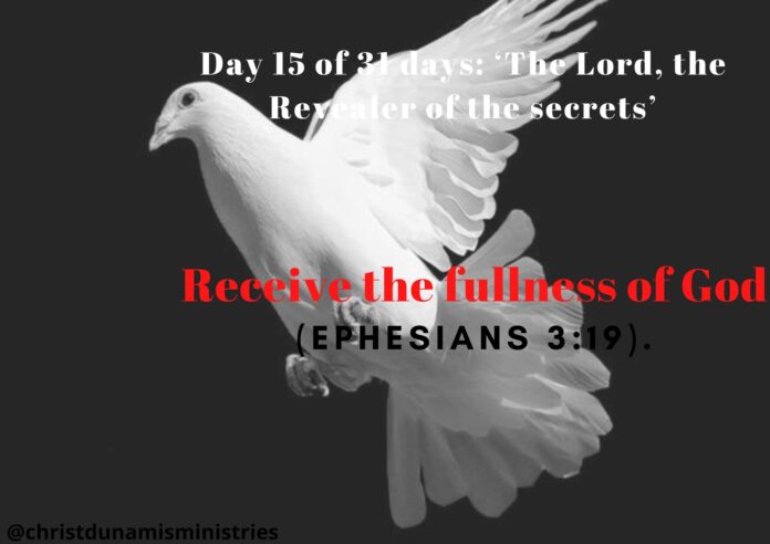 Receive the fullness of God