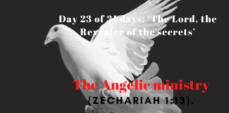 The Angelic ministry