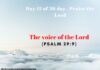The voice of the Lord