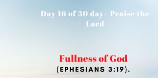 Fullness of God