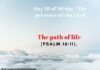 The path of life